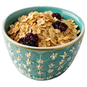 Oats And Raisins PNG 06282024