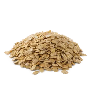 Oats And Seeds PNG 67