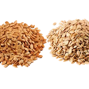 Oats B PNG image