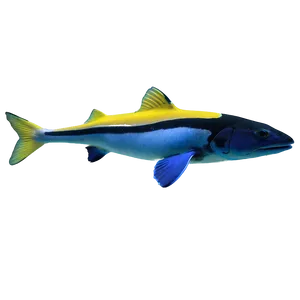 Ocean Deep Dive PNG 28 PNG