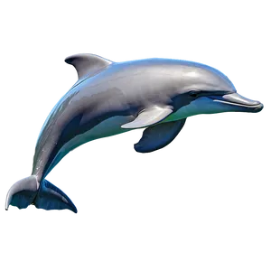 Ocean Dolphin Jump Png 05212024 PNG image