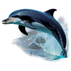 Ocean Dolphin Jump Png Rig66 PNG image