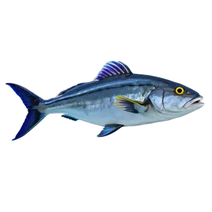 Ocean Fish School Png Uas97 PNG image