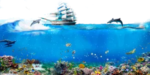 Ocean Life Split View PNG image