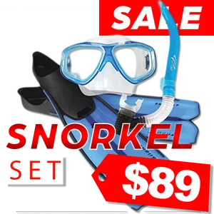 Ocean Pro Snorkel Set Sale89 Dollars PNG