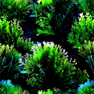 Ocean Seaweed Forest Png Cbq PNG image