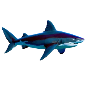 Ocean Shark Encounter Png 05212024 PNG image