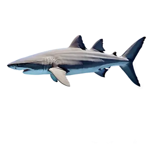 Ocean Shark Encounter Png 05212024 PNG image