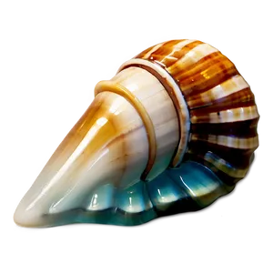 Ocean Shell Icon Png 05212024 PNG image