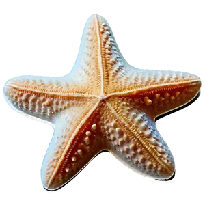 Ocean Starfish Sandy Png 76 PNG image