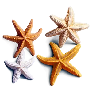 Ocean Starfish Sandy Png Fgt PNG image