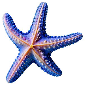 Ocean Starfish Sandy Png Pfx PNG image