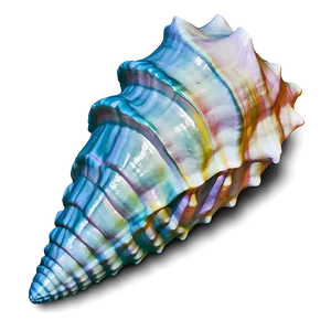 Ocean Themed Conch Shell PNG 51 PNG