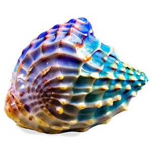 Ocean Themed Conch Shell PNG Agh52 PNG