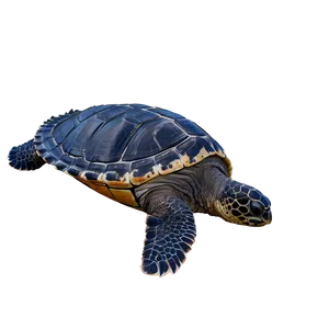 Oceanic Leatherback Turtle Scene PNG 8 PNG