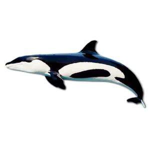 Oceanic Orca PNG Muv42