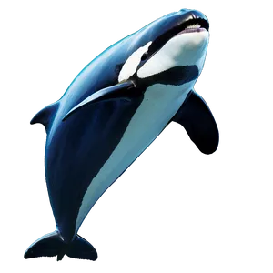 Oceanic Orca PNG Umq