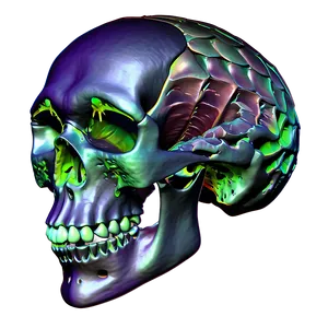 Oceanic Skull Visualization PNG C PNG