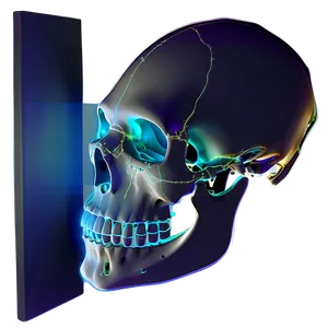 Oceanic Skull Visualization Png D PNG image