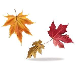 October Leaves Falling Png Tta35 PNG image