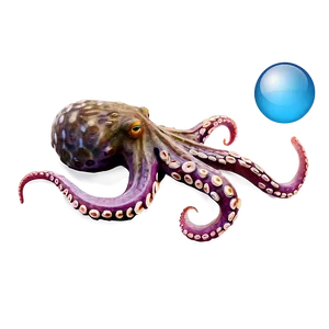 Octopus Camouflage PNG 05062024 PNG