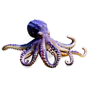 Octopus Family PNG 05062024 PNG