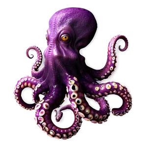 Octopus Tentacles PNG 05062024