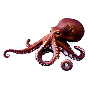 Octopus With Treasure PNG 05062024 PNG