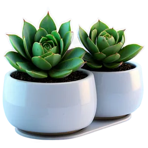 Office Desk Succulents PNG 06212024