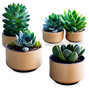 Office Desk Succulents PNG 36