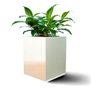 Office Plants Png Tnx PNG image