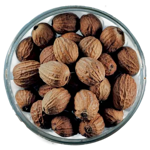 Ogbono Nut PNG 15