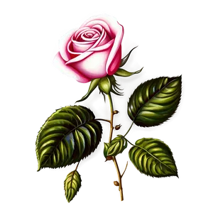 Old-fashioned Rose Graphic Png Kxs PNG image