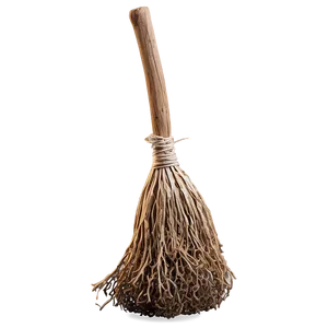 Old Witches Broom PNG 06292024 PNG