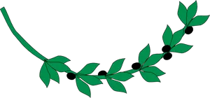 Olive Branch Graphic PNG image
