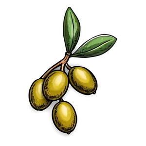Olive Branch Sketch Png 05242024 PNG image