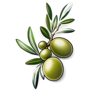 Olive Branch Tattoo Png 05242024 PNG image