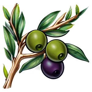 Olive Branch Tattoo Png 53 PNG image