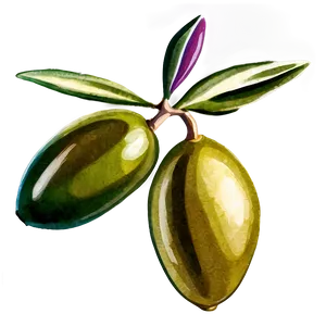 Olive Branch Watercolor PNG 05242024