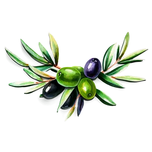 Olive Branch Watercolor Png Jnb PNG image