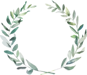 Olive Branch Wreath Illustration PNG image