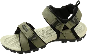 Olive Green Sport Sandal.png PNG image