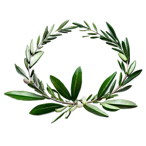Olive Leaf Wreath Png 05242024 PNG image