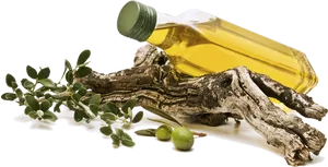Olive Oil Bottle With Olive Branchand Tree Bark PNG image