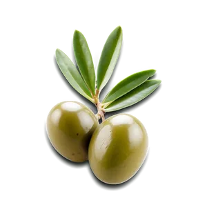 Olive Seed Png Wrw63 PNG image