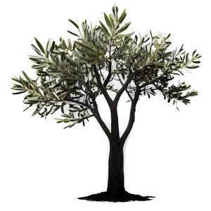 Olive Tree Silhouette Png 17 PNG image