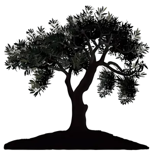 Olive Tree Silhouette Png 72 PNG image
