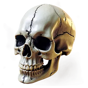 Ominous Horror Skull Png Adk66 PNG image