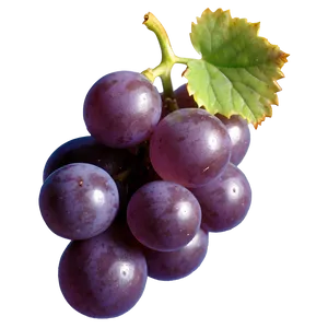 One Grape Icon Png 06292024 PNG image