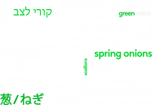 Onion Varieties Word Cloud PNG